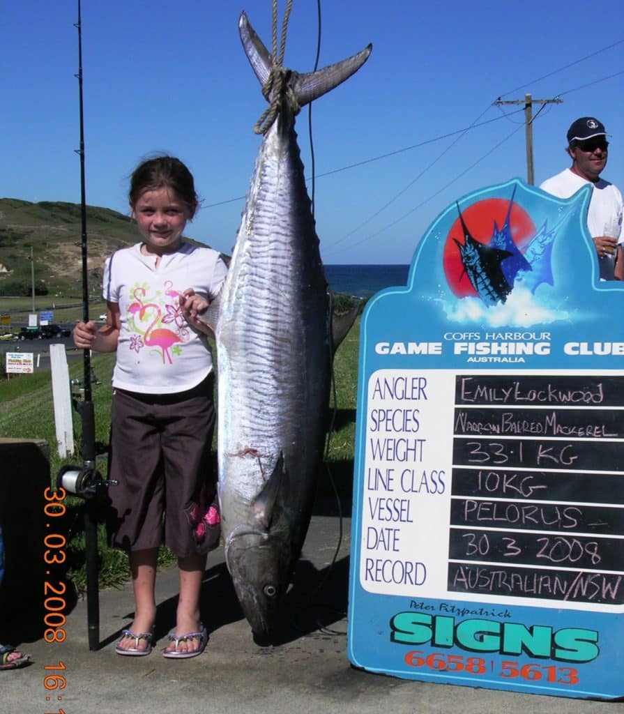 World-record small-fry catch - narrowbarred Spanish mackerel