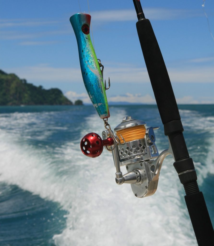 Saltwater Fishing Reels Buyer's Guide