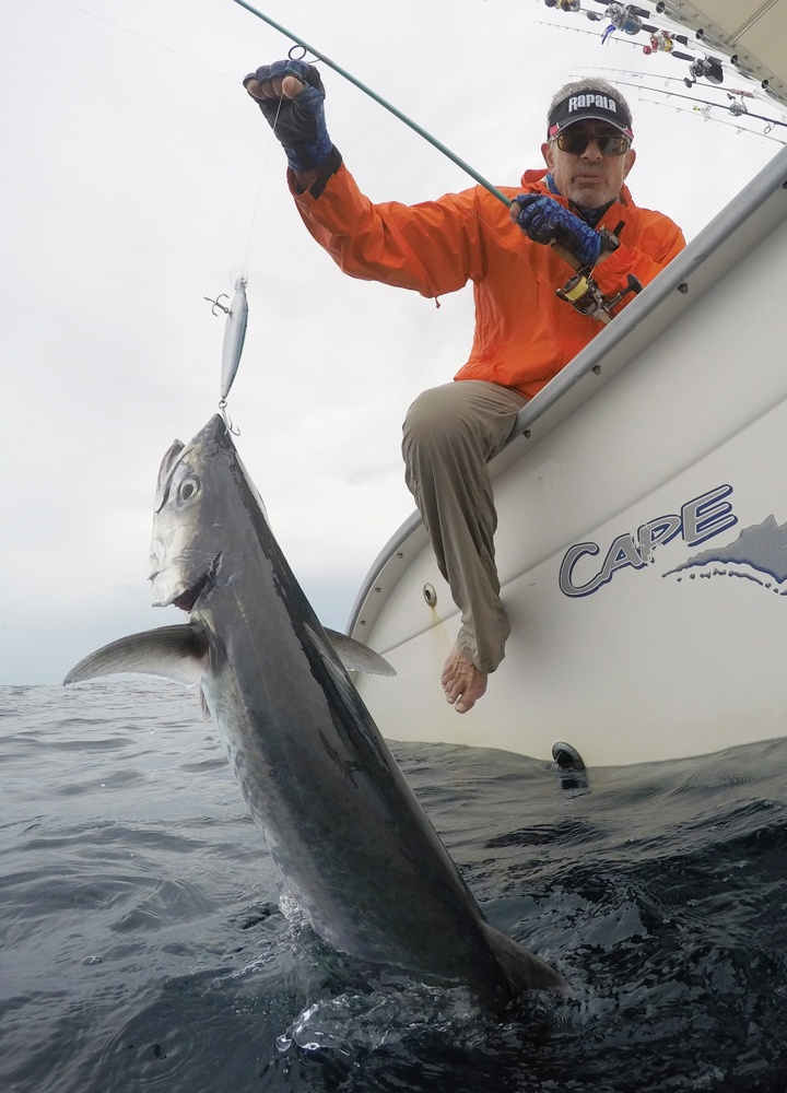 A kingfish struggles by the boat.