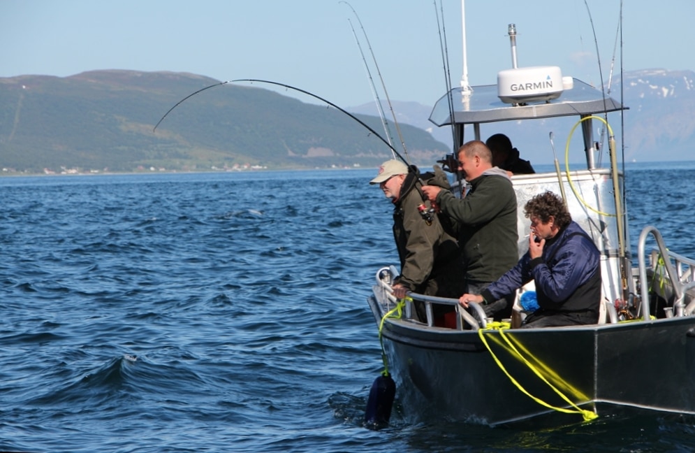 Wild North Atlantic fishing adventure