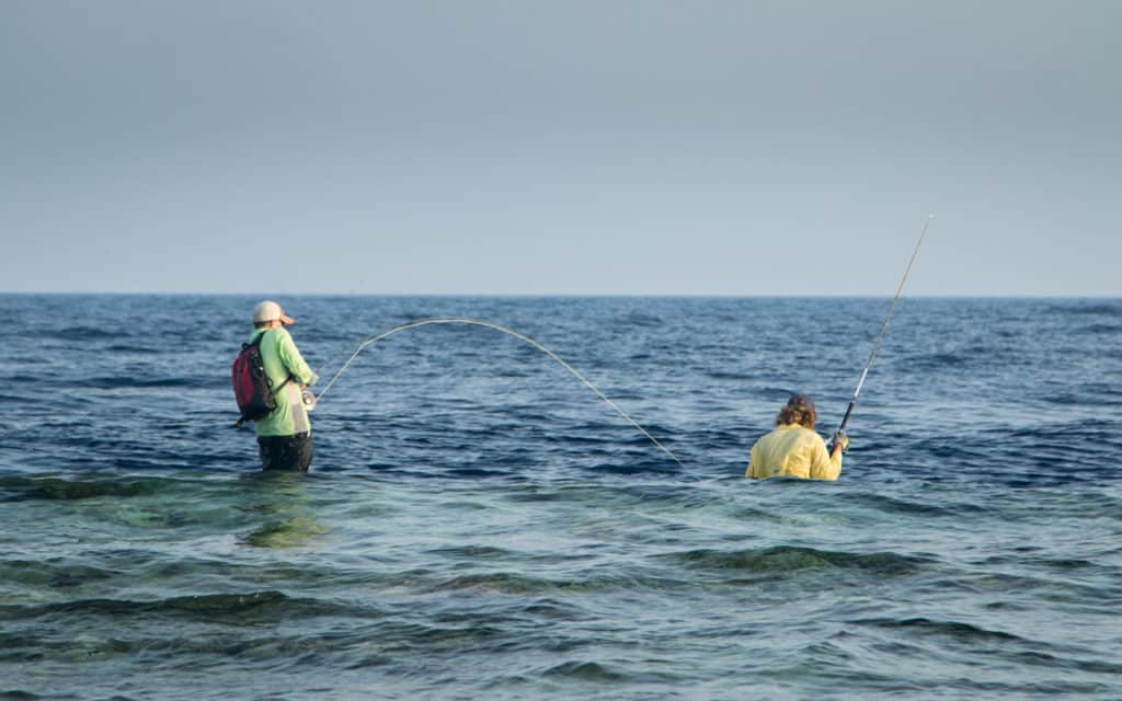 Giant trevally fishing Red Sea