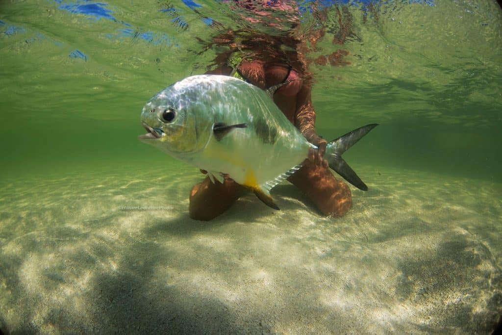 permit fishing release