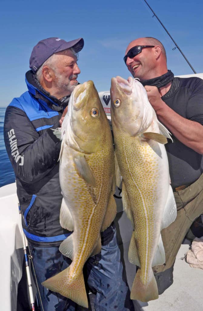 Two anglers holding cod fish caught saltwater fishing Talknafjordur Iceland