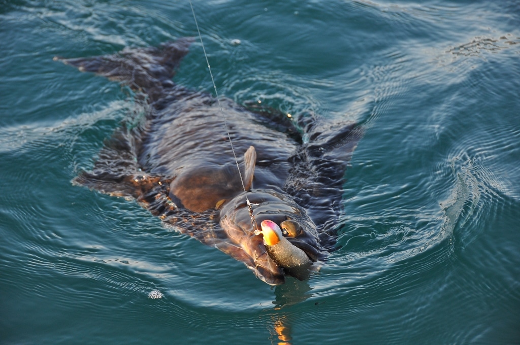 Wild North Atlantic fishing adventure