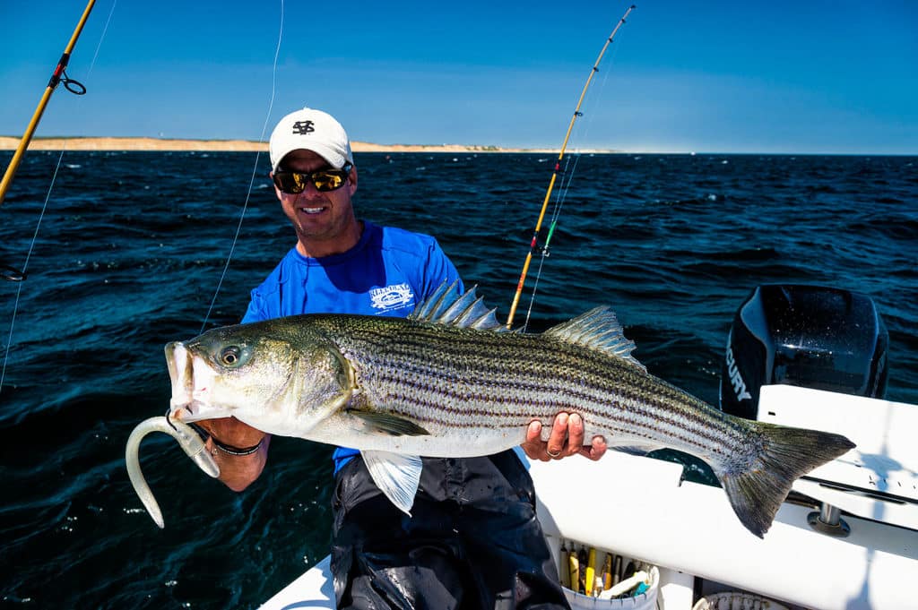 Dazzling fishing photography of Henry Gilbey - big striped bass
