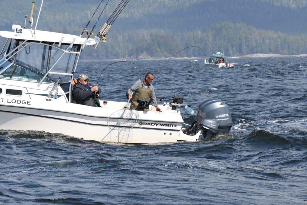 Fishing British Columbia's Spectacular Coast - big salmon comes to the net