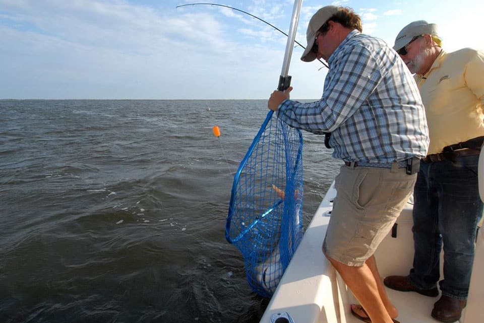Angler pulling netted redfish into Grady-White fishing boat