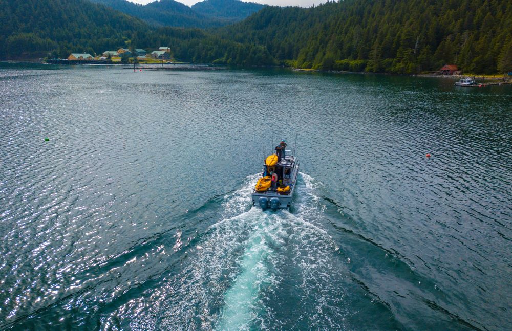 The *Gray Light* approaches Jumping Salmon Lodge.