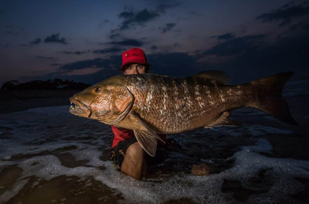 Fishing Gabon's Breathtaking Beaches - angler with monster cubera snapper