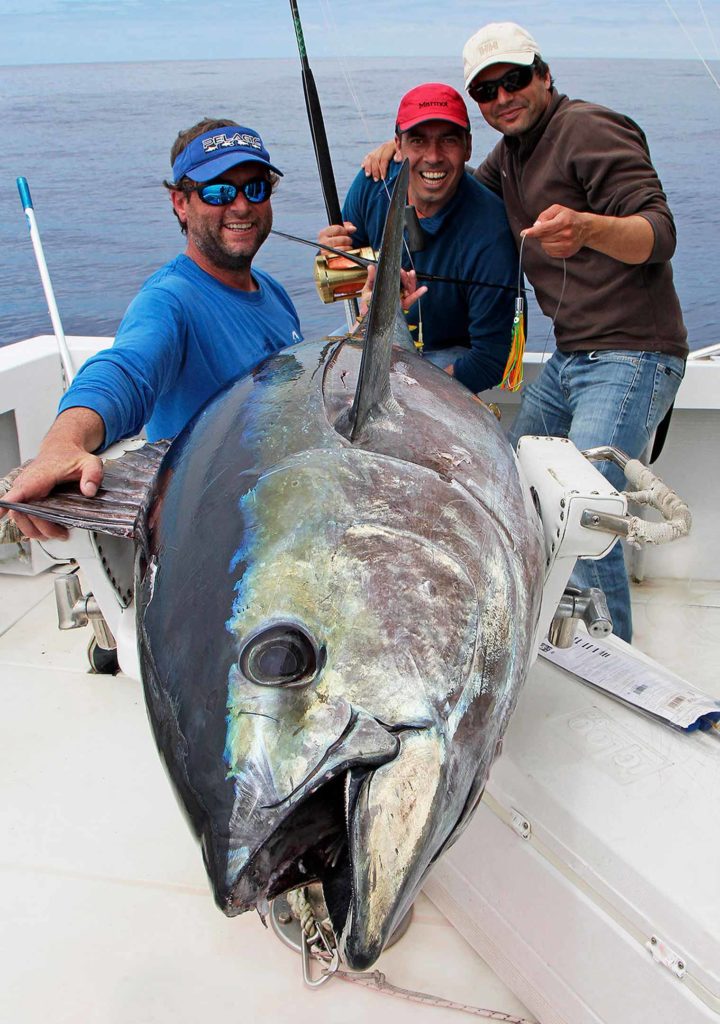 Anglers and crew wax ecstatic over a magnificent bigeye taken just south of Faial.