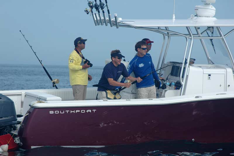 Thresher and blue shark frenzy off the coast of Maine