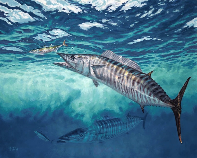 underwater wahoo art Don Ray marine fishing artist