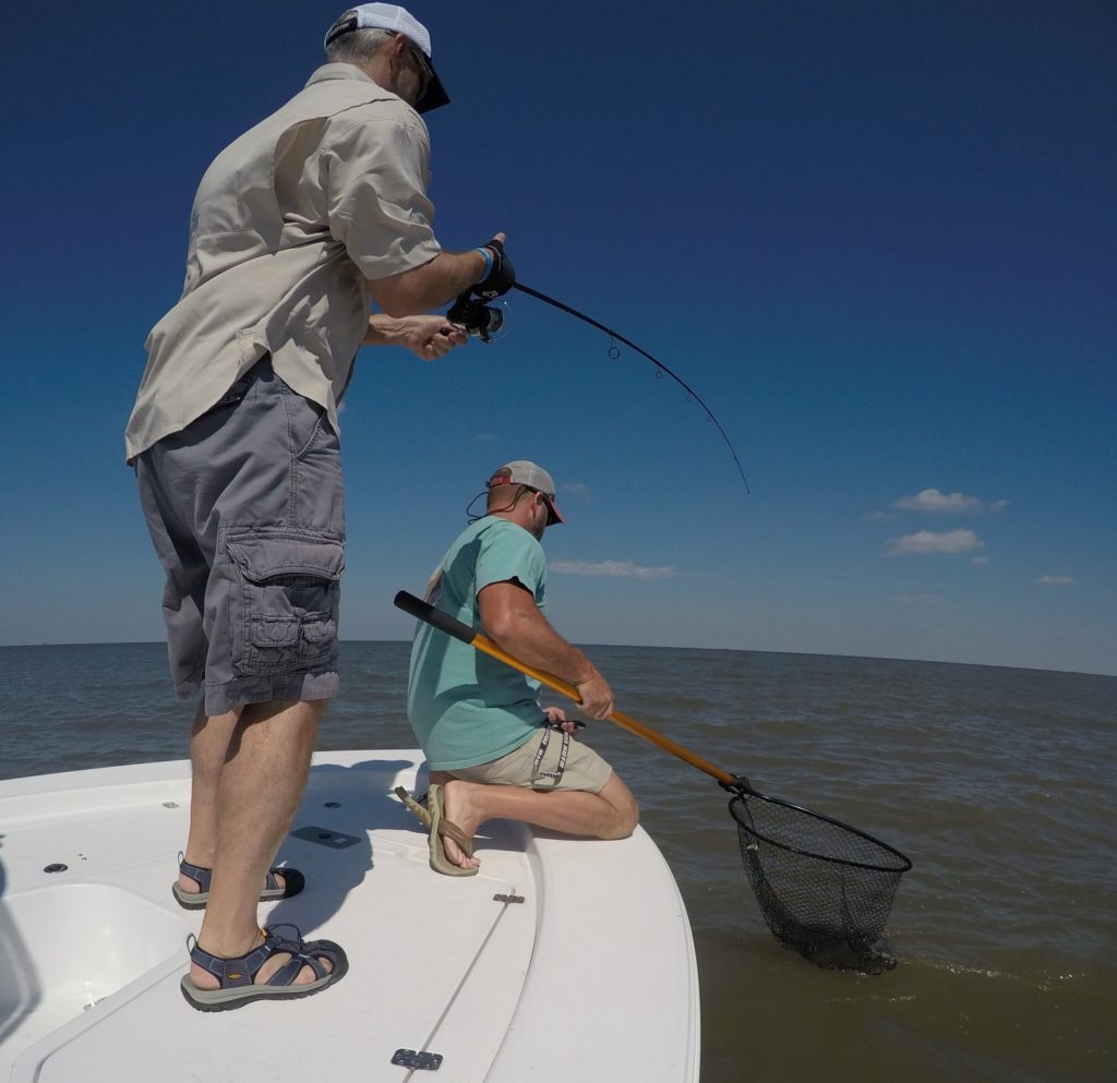 Louisiana redfish free for all — landing a redfish