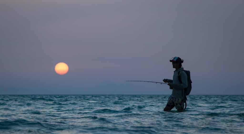 Fly fishing Red Sea