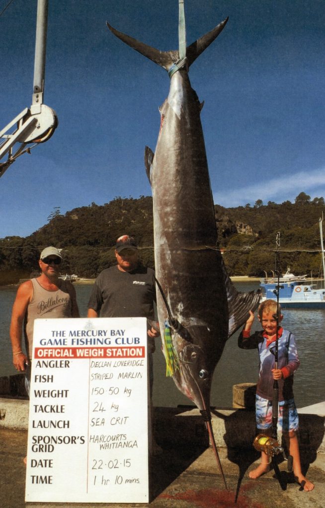 World-record small-fry catch - striped marlin