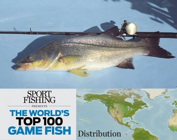 The World's Top 100 Saltwater Game Fish