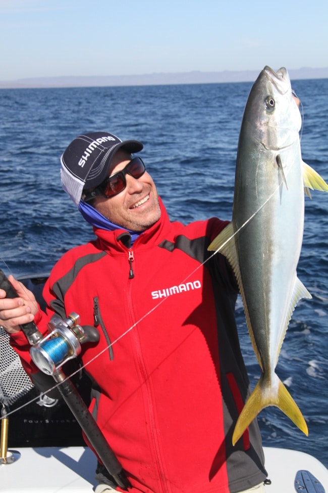 Fisherman releasing firecracker yellowtail fish