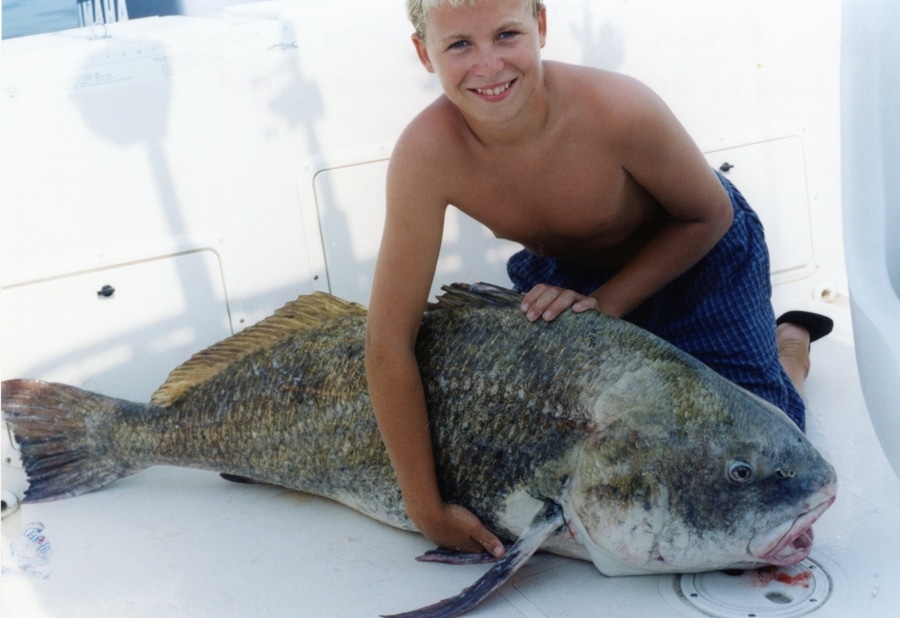 Black drum fish IGFA world-record saltwater fishing