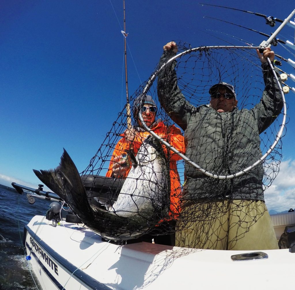 Fishing British Columbia's Spectacular Coast - salmon in the net