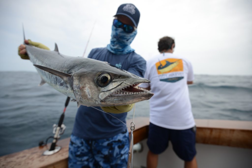 San Blas Islands Panama fishing king mackerel