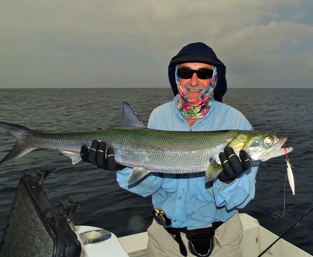 fishing Australia's Great Barrier Reef Giant Herring saltwater game fish