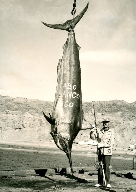 1_black marlin_at_glassell.jpg