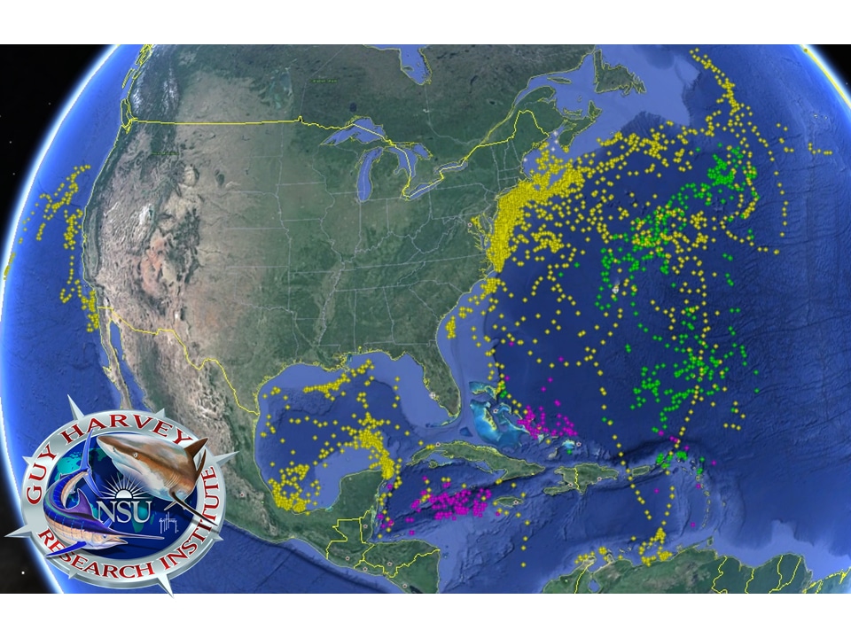 tracking map