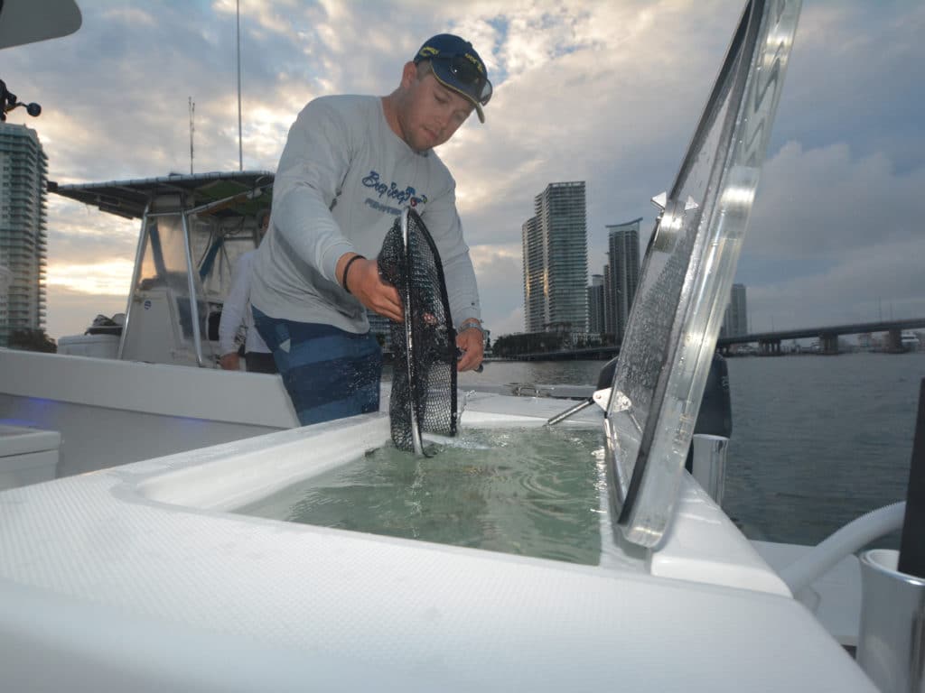 Fins Weekend Fishing Tournament, Miami Dolphins Foundation