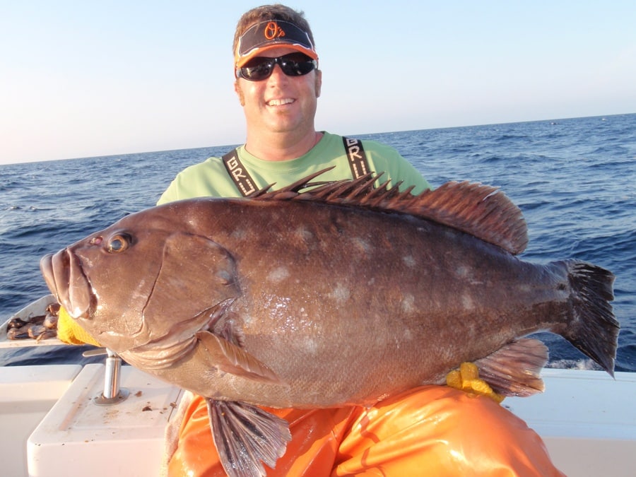 Snowy grouper fish IGFA world-record deep sea fishing