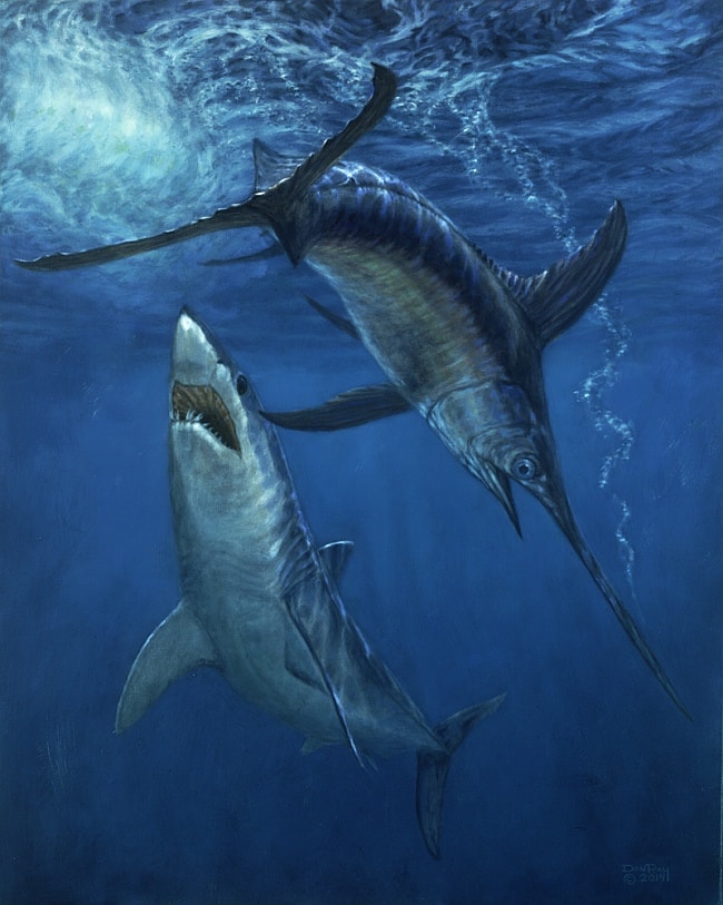 underwater swordfish art Don Ray marine fishing artist