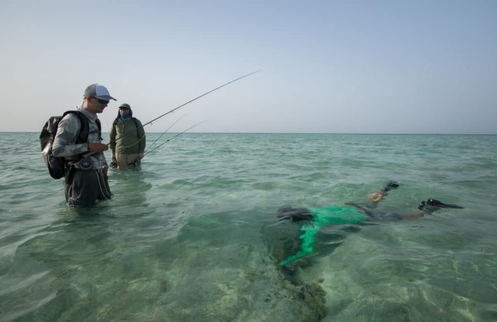 Anglers fishing Red Sea