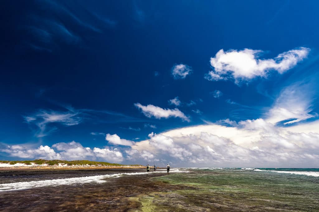 Dazzling fishing photography of Henry Gilbey - Seychelles fishing scene