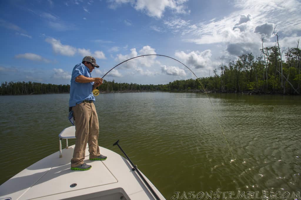 Florida Everglades snook fishing