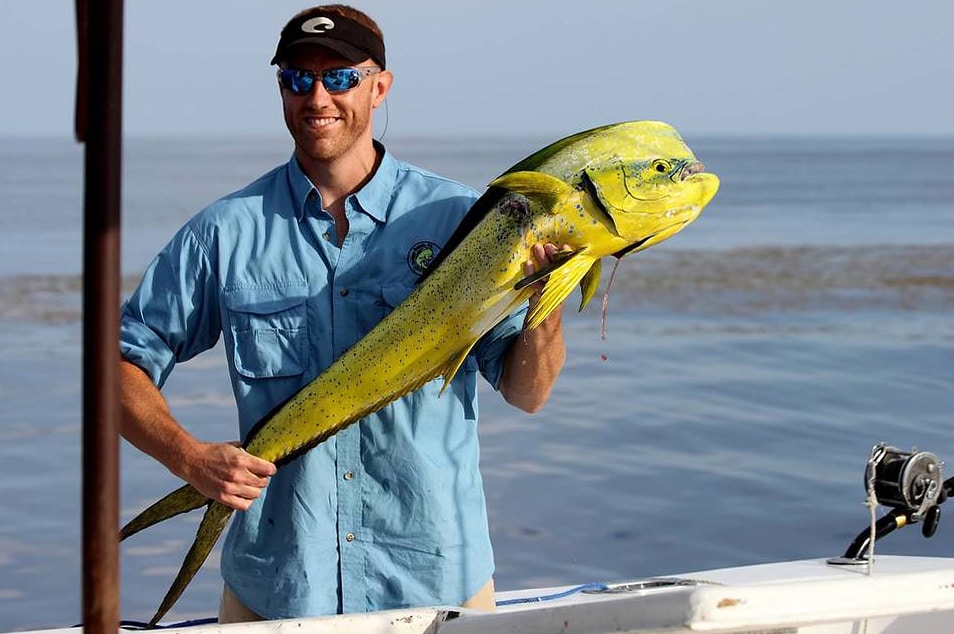 Dolphin Fishing Photo Alabama