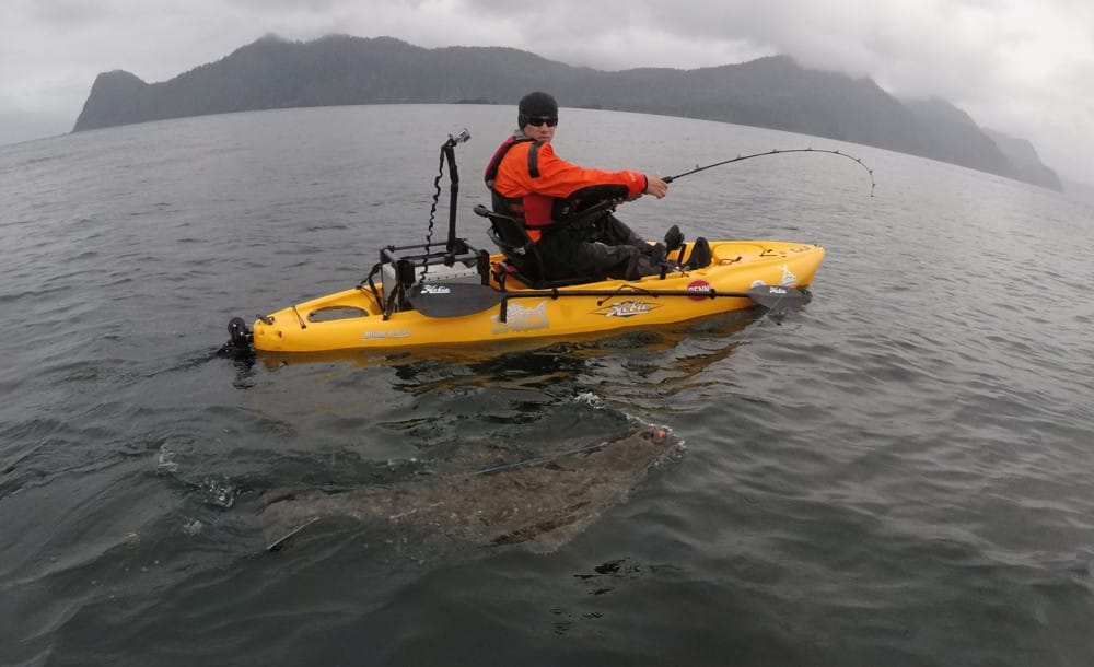 Kayak angler tows a huge halibut