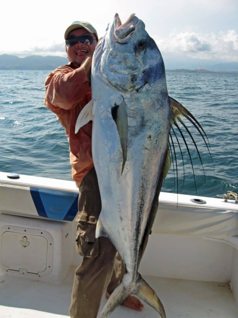 Roosterfish caught fishing Panafishing Adventure Panama