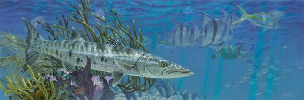 barracuda reef art Don Ray marine fishing artist