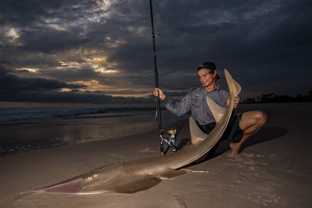 Fishing Gabon's Breathtaking Beaches - a guitarfish