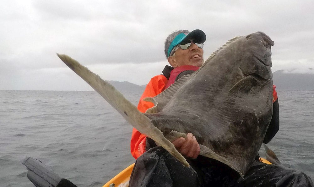 Kayak angler lands a big halibut