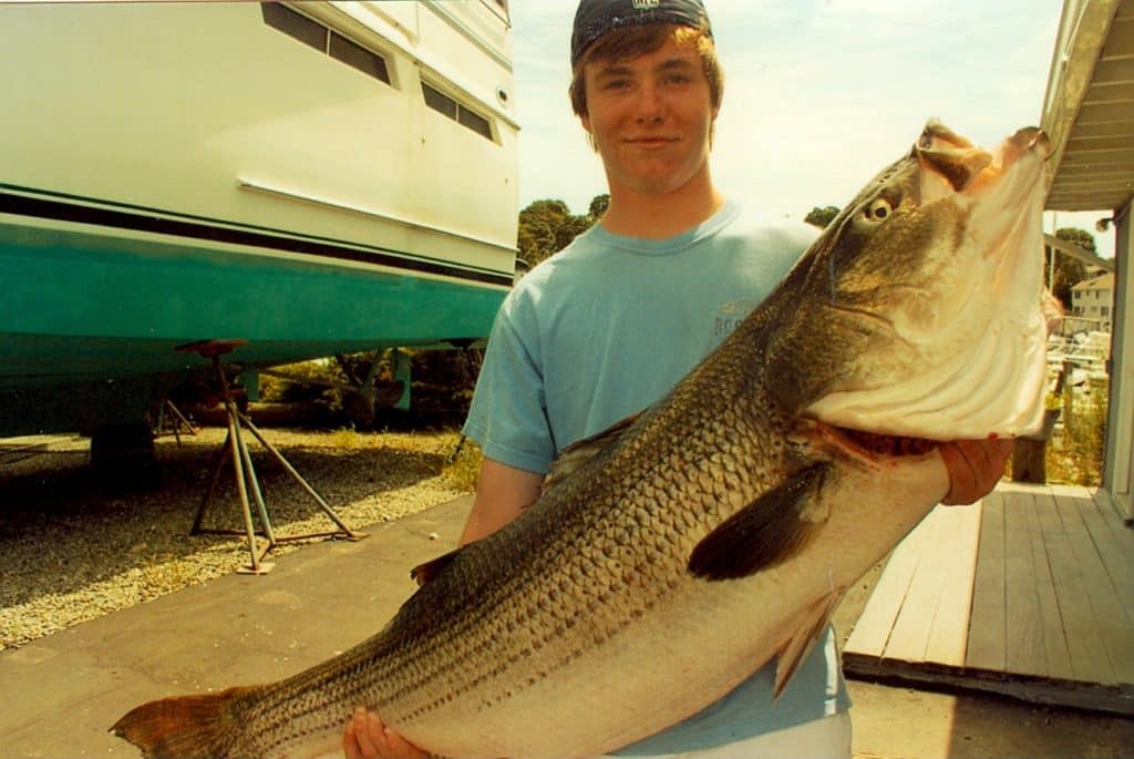 60-POUND STRIPED BASS