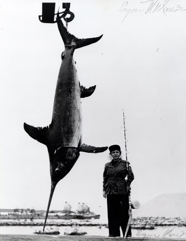 24_swordfish_w80lb_marron.jpg