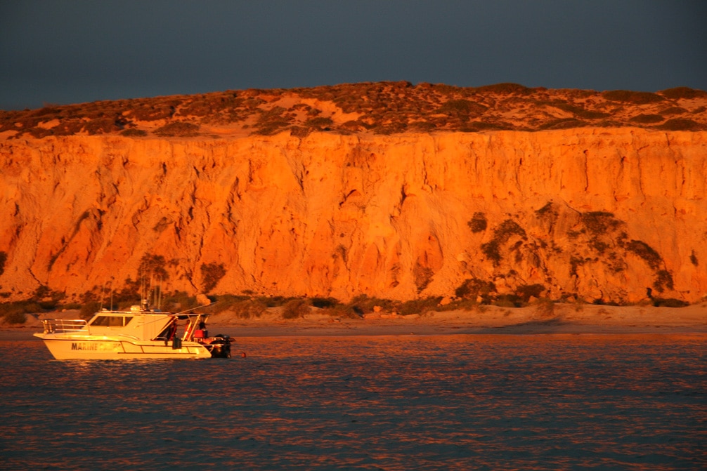 Shark Bay, Australia fishing vacation spots