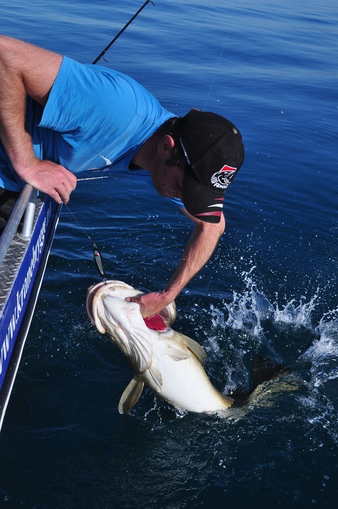 Wild North Atlantic fishing adventure