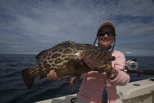 28 - olander - broomtail grouper, panama, img_1361.jpg