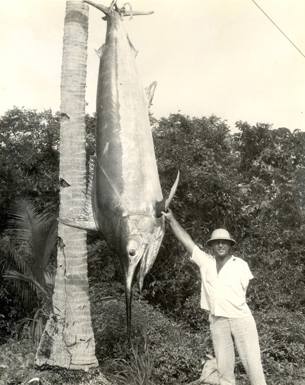 29_black marlin_louis schmidt jr_black marlin_panama_1006.jpg