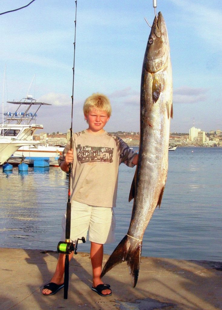 World-record small-fry catch - Guinean barracuda