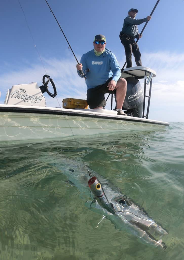 Barracuda caught on a topwater plug