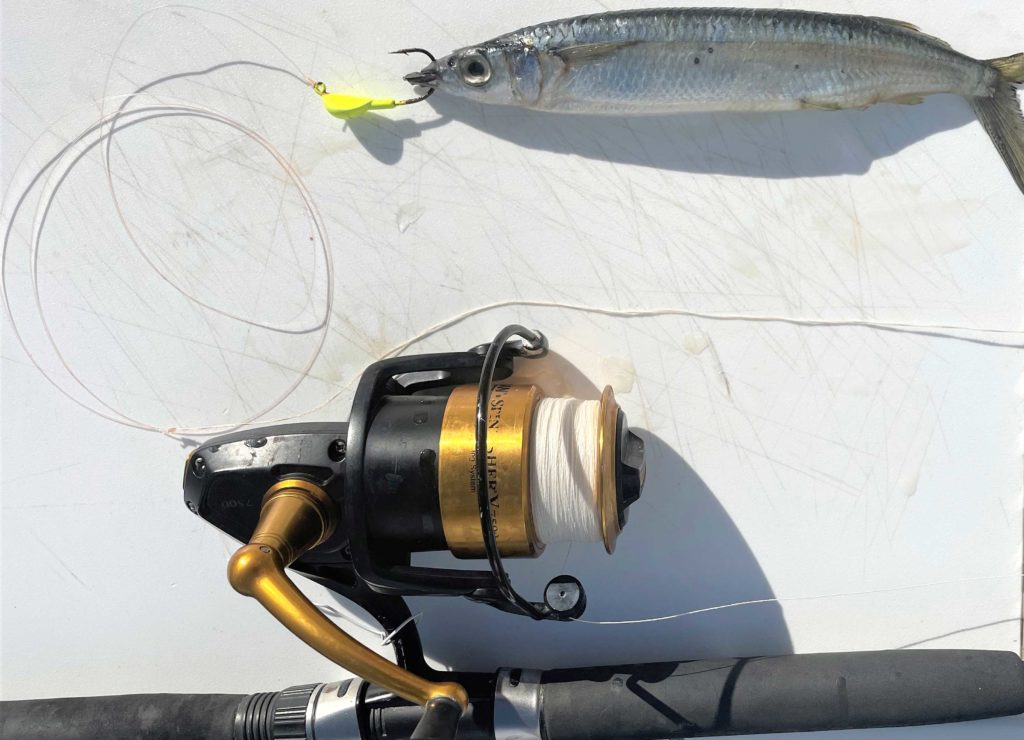 Jig rigged up for tempting snapper