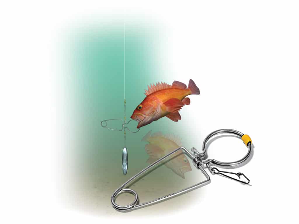 Fish Descender Devices