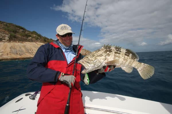 30 - black-spotted estuary cod (e. malabaricus) - malabar grouper, ne oz.jpg